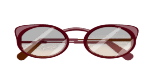 brille 5 - Brillestedet