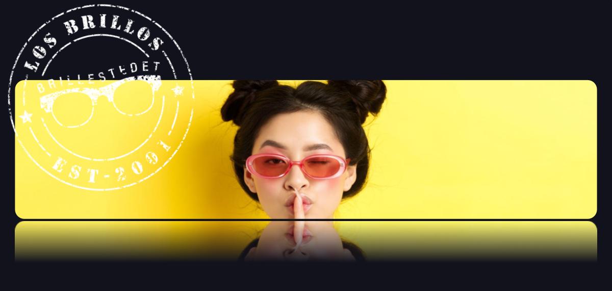 privatpolitik - Brillestedet