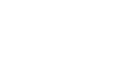 IMG THEO Brand Logo transp 275x165