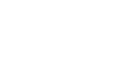 IMG VINYLIZE Brand Logo transp 275x165