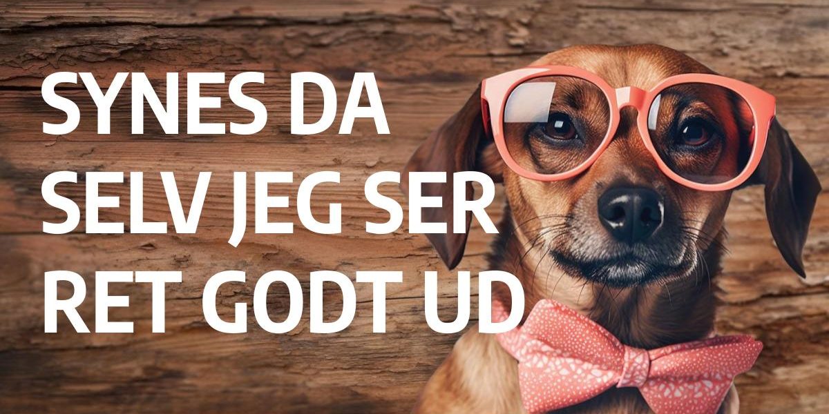 the dog synes da selv jeg ser ret godt ud carusel - Brillestedet